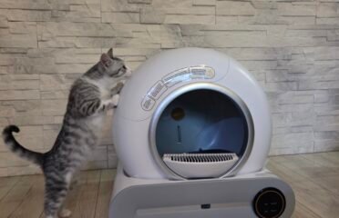 Naujas savaime išsivalantis kačių tualetas