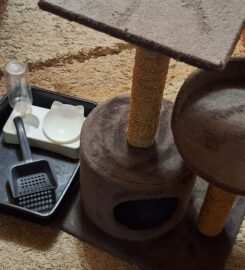 Kačių draskyklė, kraiko dėžutė, priedai