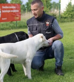 Šunų dresavimas Palangoje