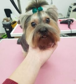 Gyvūnų grožio salonas Opalas