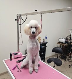 Gyvūnų grožio salonas Opalas