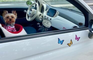 Rankų darbo automobilinės kėdutės šunims Toitert