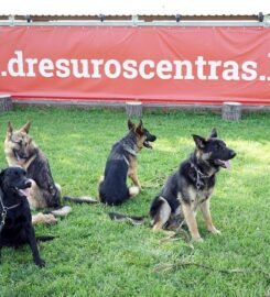 Šunų dresavimas Palangoje