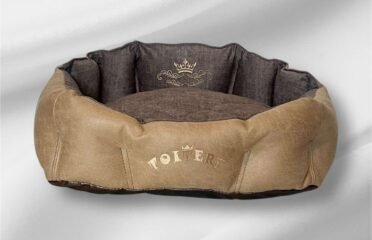 Šuns guolis Latte S