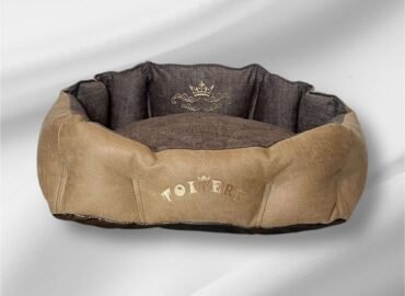 Šuns guolis Latte S