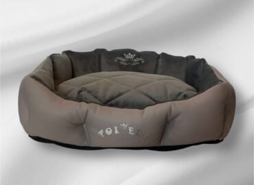 Šuns guolis Stone M