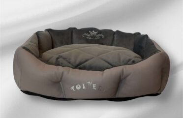 Šuns guolis Stone M