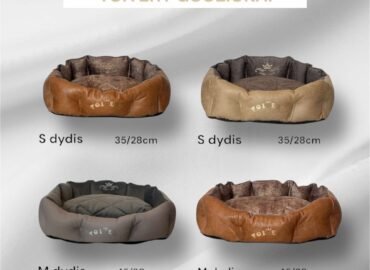 Šuns guolis Stone M