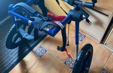 Walkin Wheels JAV pagalbinis vežimėlis šunims