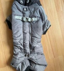 Naujas šunelio rūbas