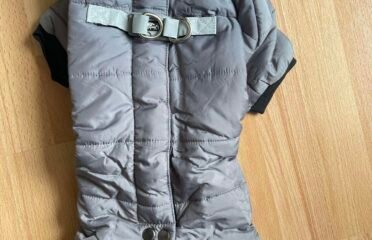 Naujas šunelio rūbas