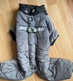 Naujas šunelio rūbas