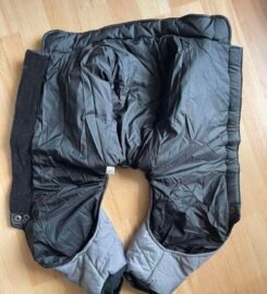 Naujas šunelio rūbas