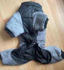 Naujas šunelio rūbas