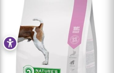 Sausas maistas jauniems šunims