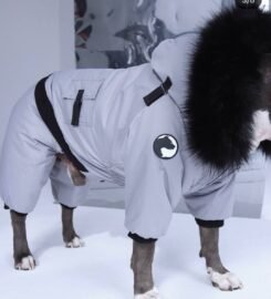 Striuke šunims MeoPet