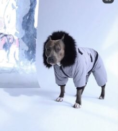 Striuke šunims MeoPet