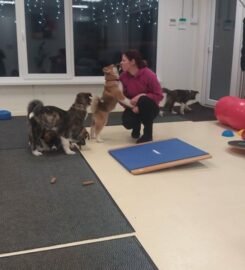 Šunų viešbutis Eufera