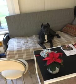 Šunų viešbutis Eufera