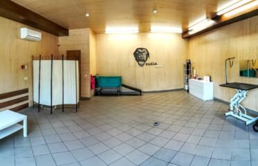 KudLa – šunų kirpykla