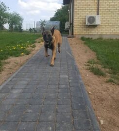 Šunų viešbutis Eufera