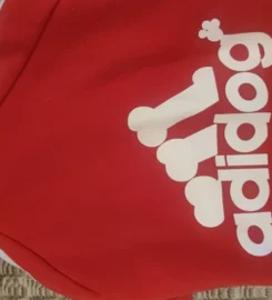 Šiltos striukės šunims