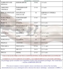 Šunų ir kačių kirpykla Vilniuje