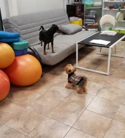 Šunų viešbutis Eufera