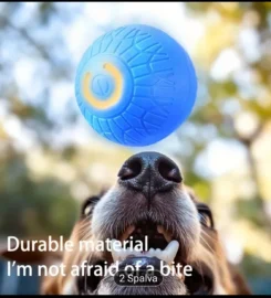 Šuniuko kamuoliukas