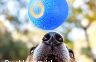 Šuniuko kamuoliukas