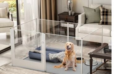 Skaidrus akrilinis aptvaras