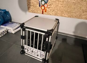 Transportavimo narvas