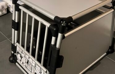 Transportavimo narvas