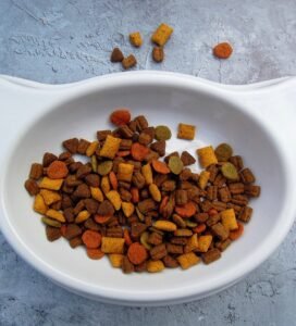 Maistas katėms: sausas kačių maistas dubenėlyje ant stalo bugivugi