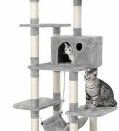 Nauja kačių draskyklė