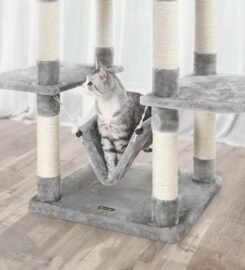 Nauja kačių draskyklė