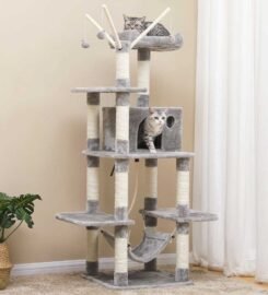 Nauja kačių draskyklė