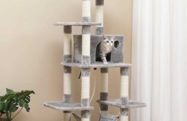 Nauja kačių draskyklė