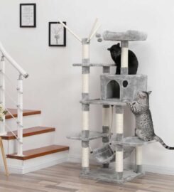 Nauja kačių draskyklė