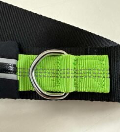 Diržas bėgimui su šunimi