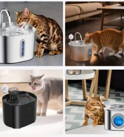 Judesio daviklis fontanėlio įjungimui